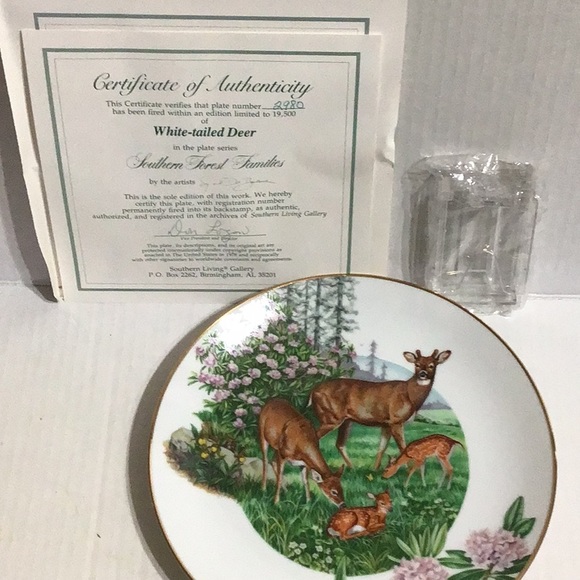 Collectible Plate - Picture 3 of 3